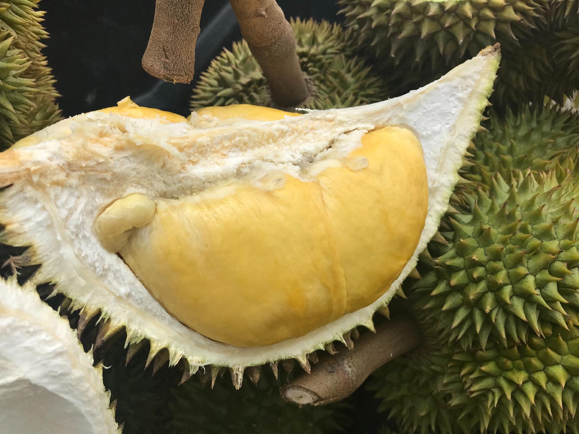 eating-durians-in-singapore-when-and-where-can-you-find-them-city